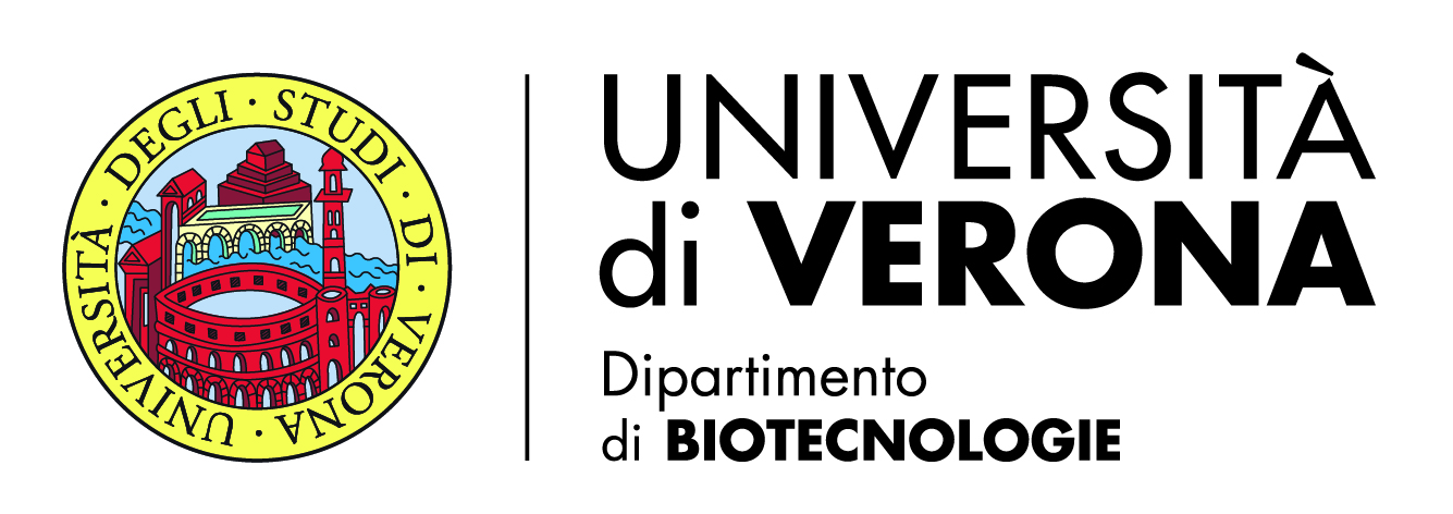 Università di Verona